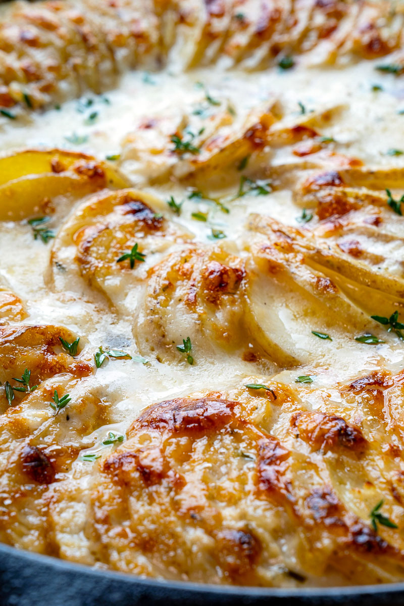 Potato Gratin Potato Gratin