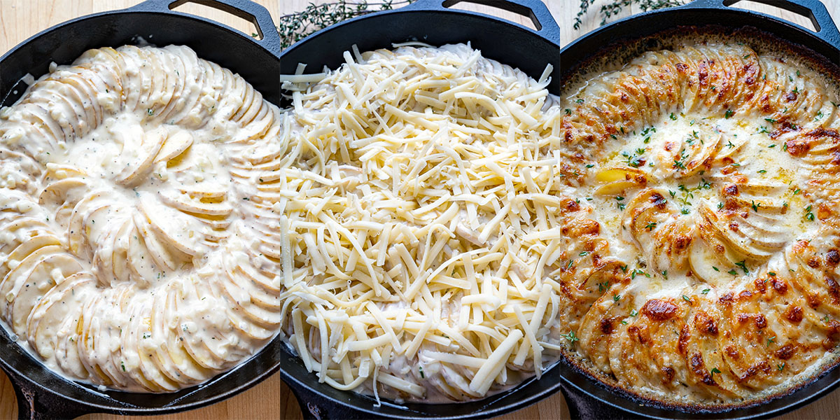 Potato Gratin Potato Gratin