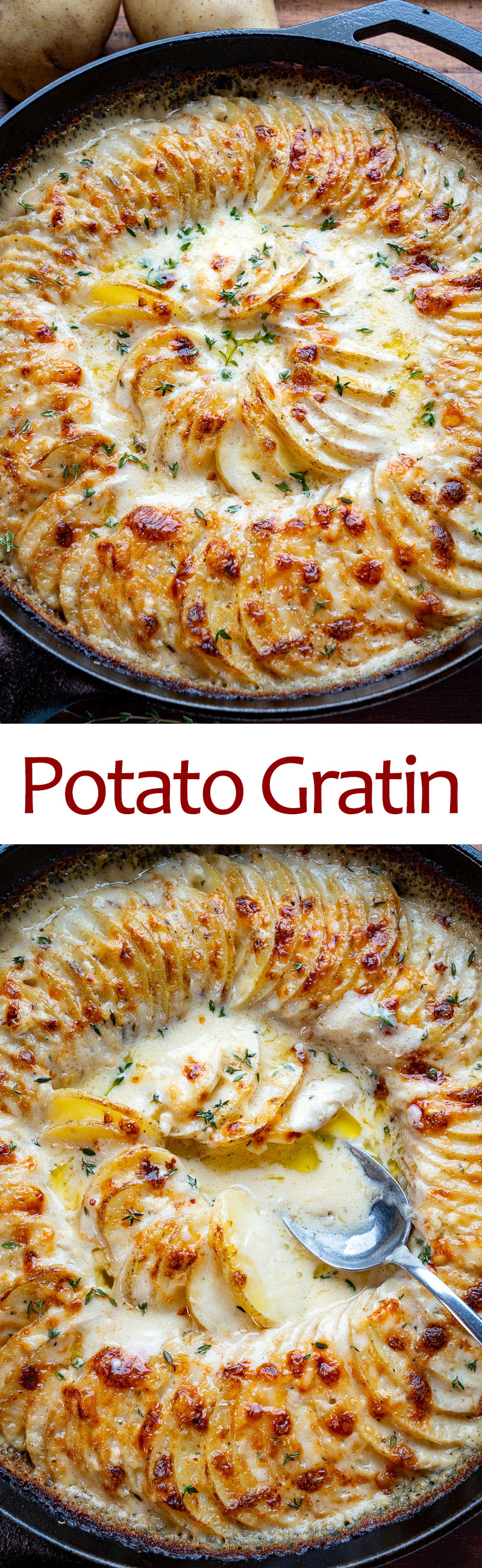 Potato Gratin Potato Gratin