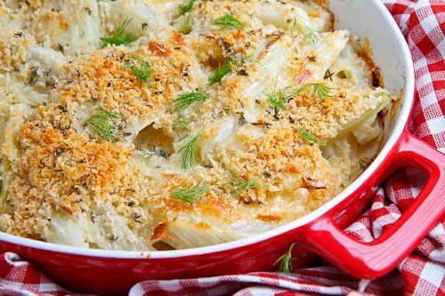 Fennel Gratin Fennel Gratin
