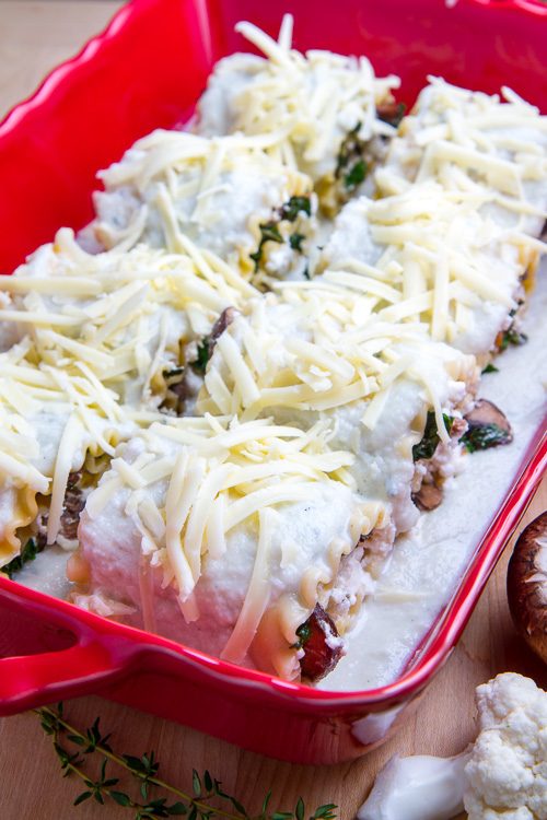 Mushroom Lasagna Roll Ups in Creamy Gorgonzola Cauliflower Sauce Mushroom Lasagna Roll Ups in Creamy Gorgonzola Cauliflower Sauce