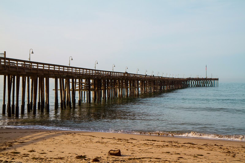 California Strawberry Field Trip California Strawberry Field Trip