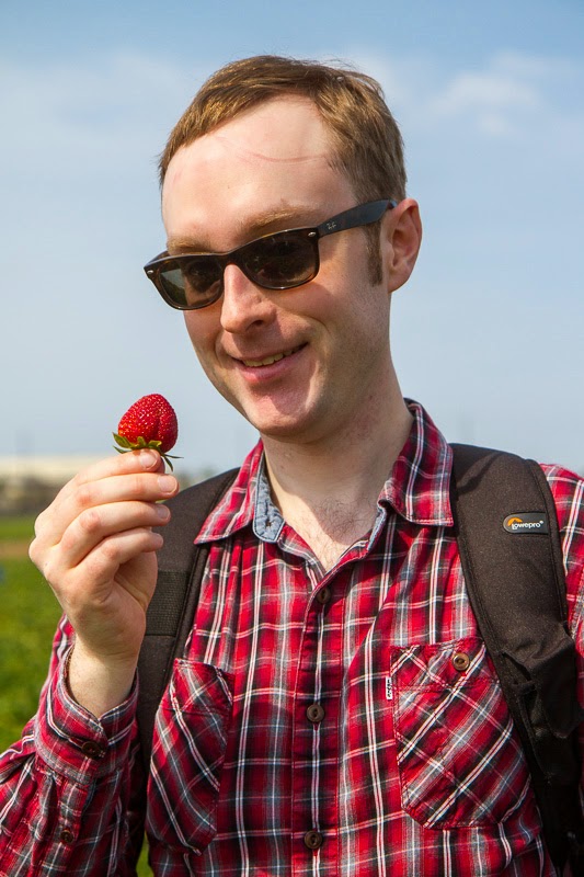 California Strawberry Field Trip California Strawberry Field Trip