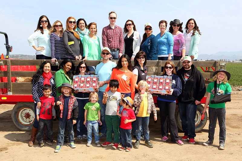 California Strawberry Field Trip California Strawberry Field Trip