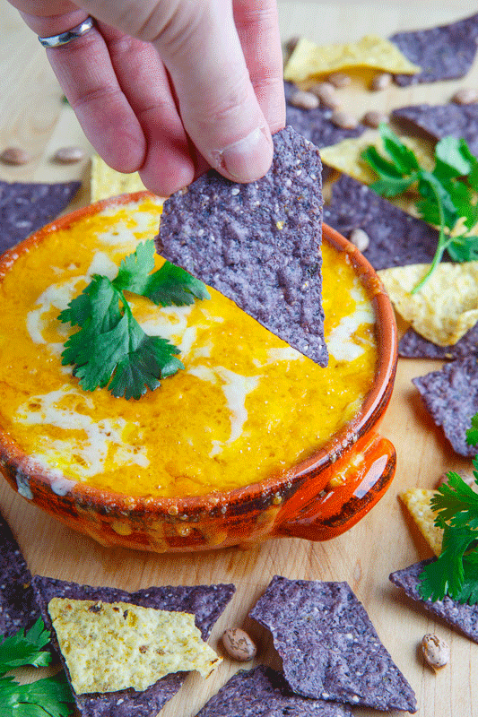 Cheesy Refried Bean Dip Cheesy Refried Bean Dip