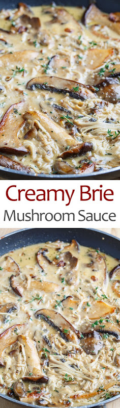 CCreamy Brie Mushroom Sauce Creamy Brie Mushroom Sauce