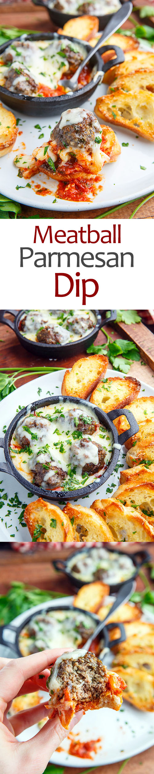 Meatball Parmesan Dip Meatball Parmesan Dip