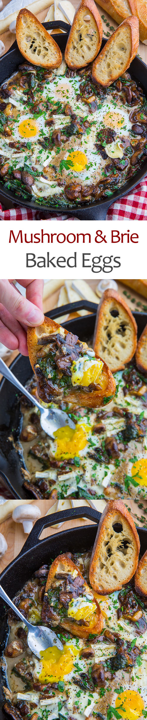 Mushroom and Brie Baked Eggs Mushroom and Brie Baked Eggs