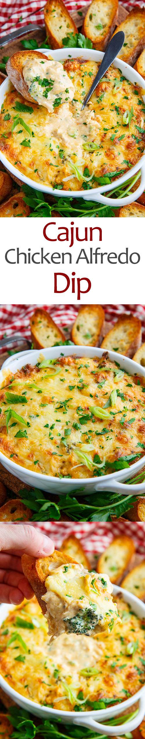 Cajun Chicken Alfredo Dip Cajun Chicken Alfredo Dip