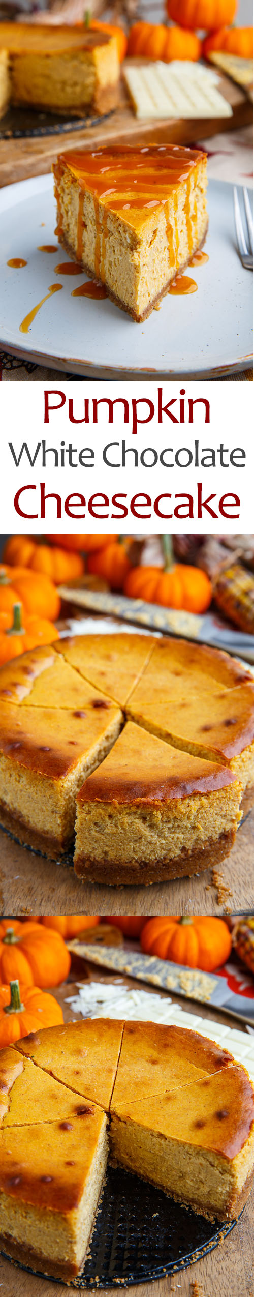 White Chocolate Pumpkin Cheesecake White Chocolate Pumpkin Cheesecake