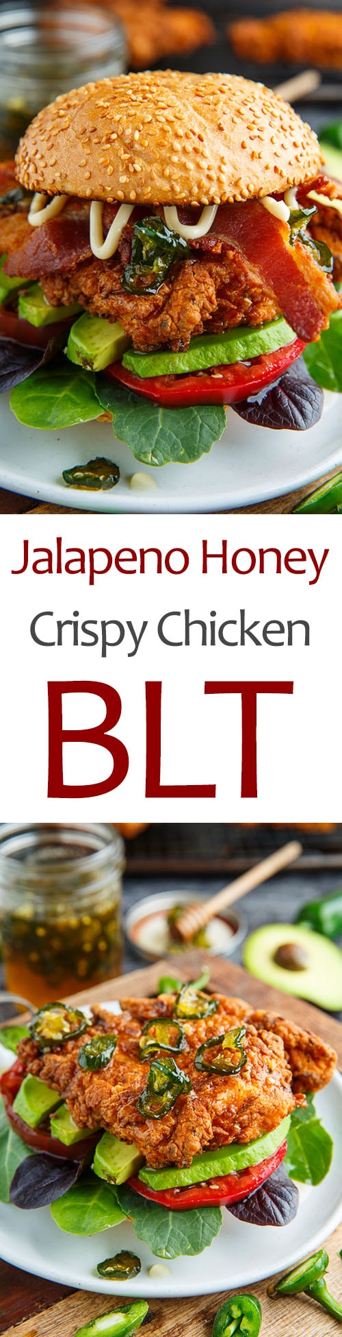 Jalapeno Honey Crispy Fried Chicken BLT Jalapeno Honey Crispy Fried Chicken BLT