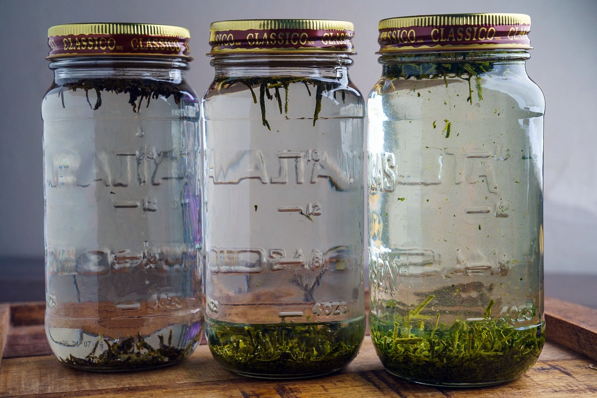 Cold Brewed Iced Tea Cold Brewed Iced Tea