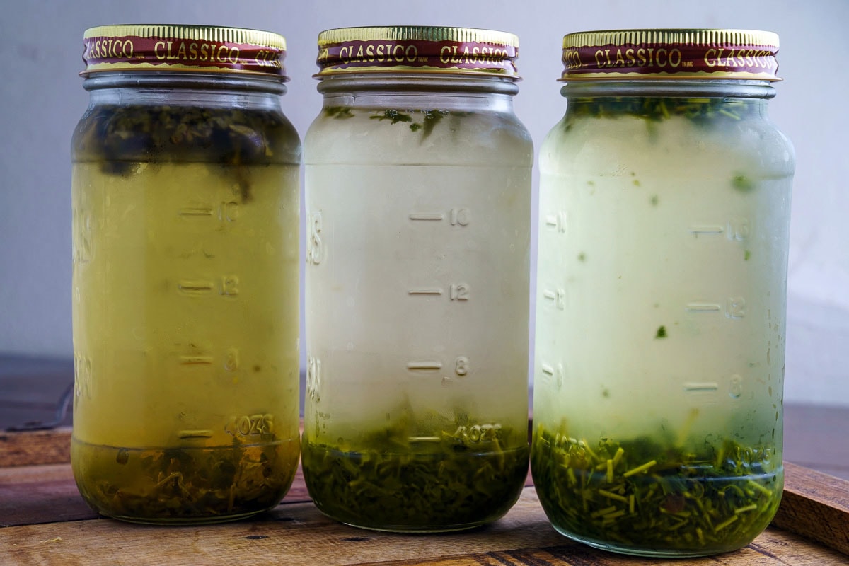 Cold Brewed Iced Tea Cold Brewed Iced Tea