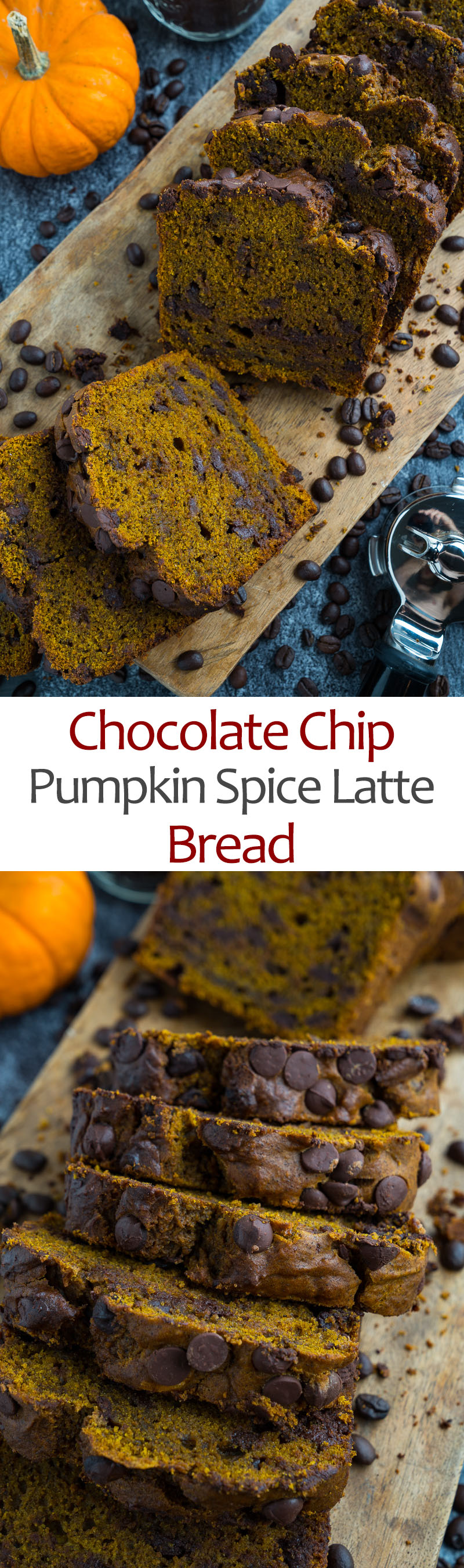 Chocolate Chip Pumpkin Spice Latte Bread Chocolate Chip Pumpkin Spice Latte Bread