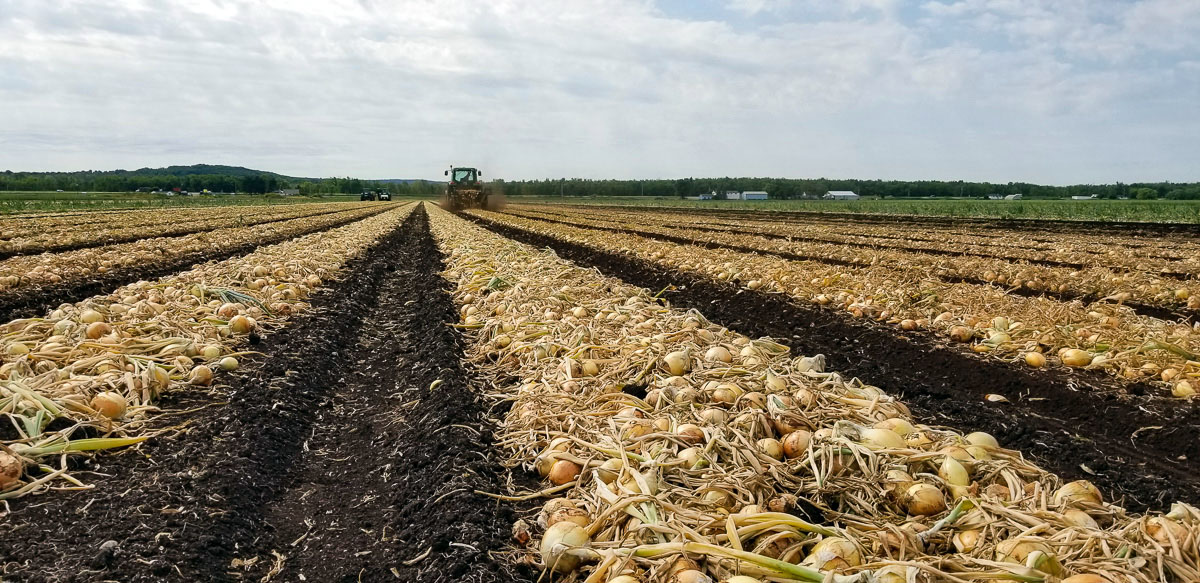 Hillside Gardens Hillside Gardens