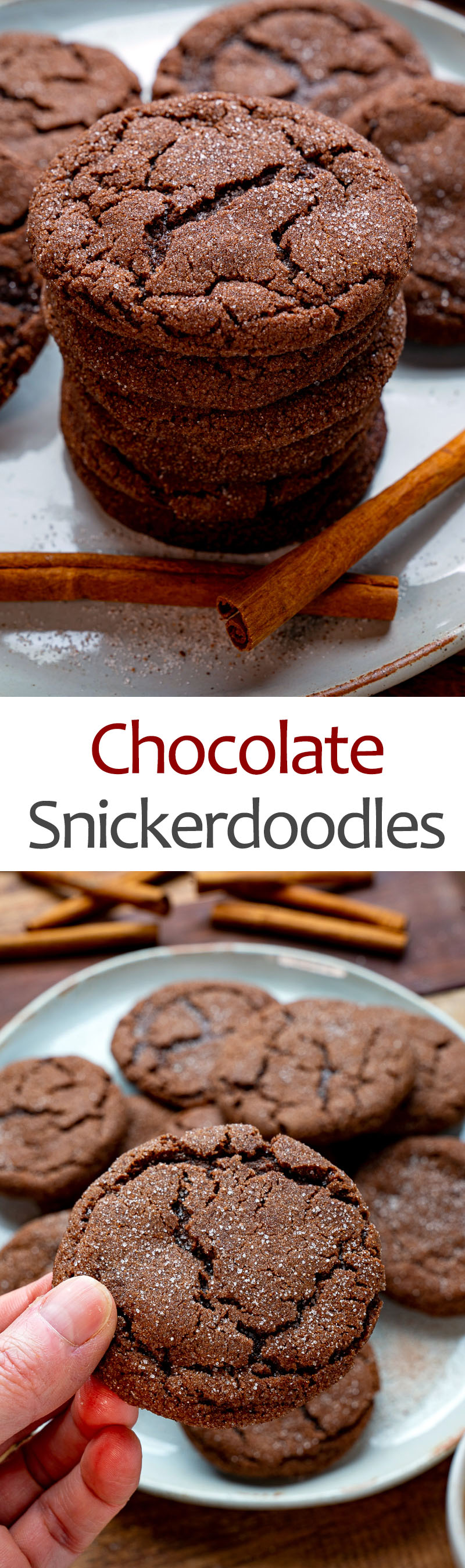 Chocolate Snickerdoodles Chocolate Snickerdoodles