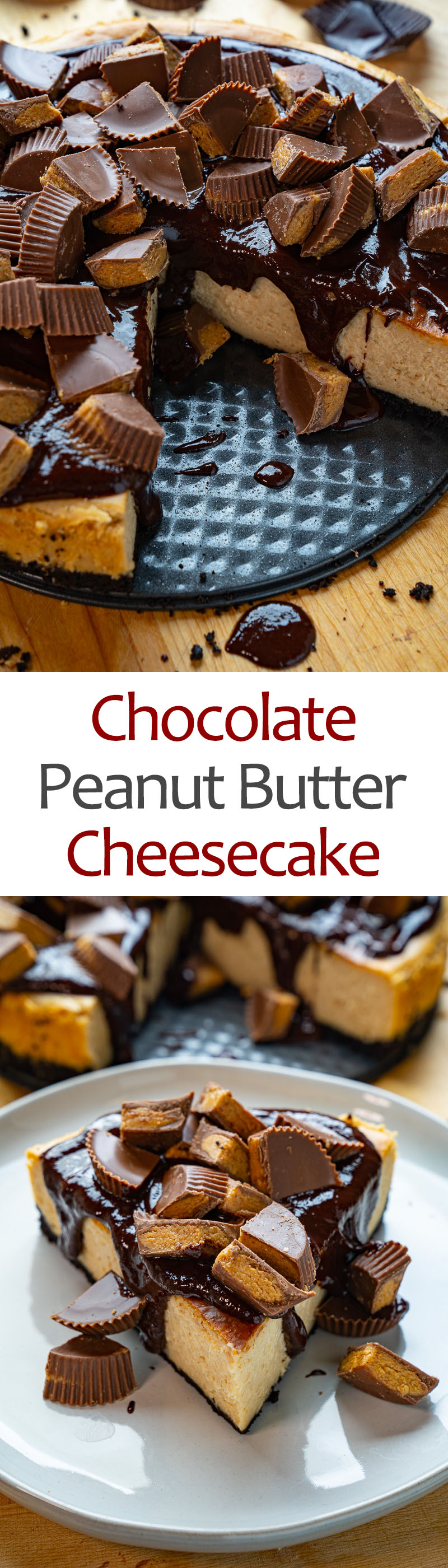 Chocolate and Peanut Butter Cheesecake Chocolate and Peanut Butter Cheesecake