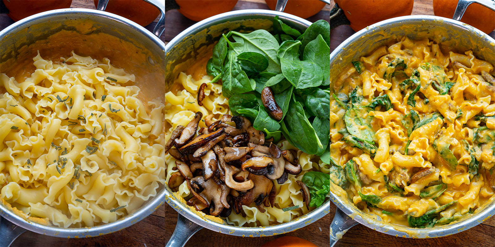 Pumpkin Alfredo Pasta Pumpkin Alfredo Pasta