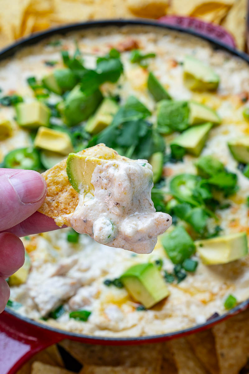 White Chili Chicken Cheese Dip White Chili Chicken Cheese Dip