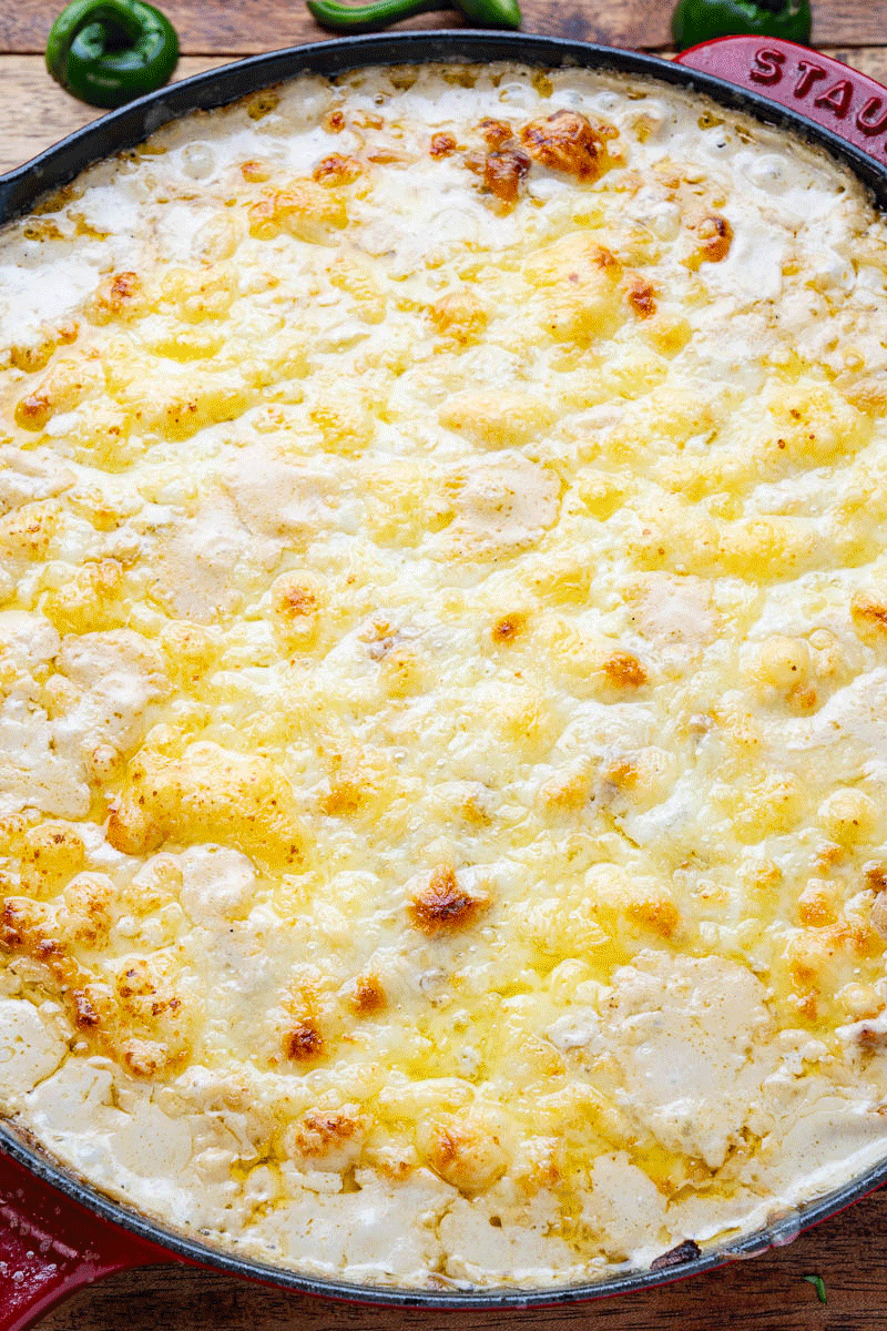 White Chili Chicken Cheese Dip White Chili Chicken Cheese Dip