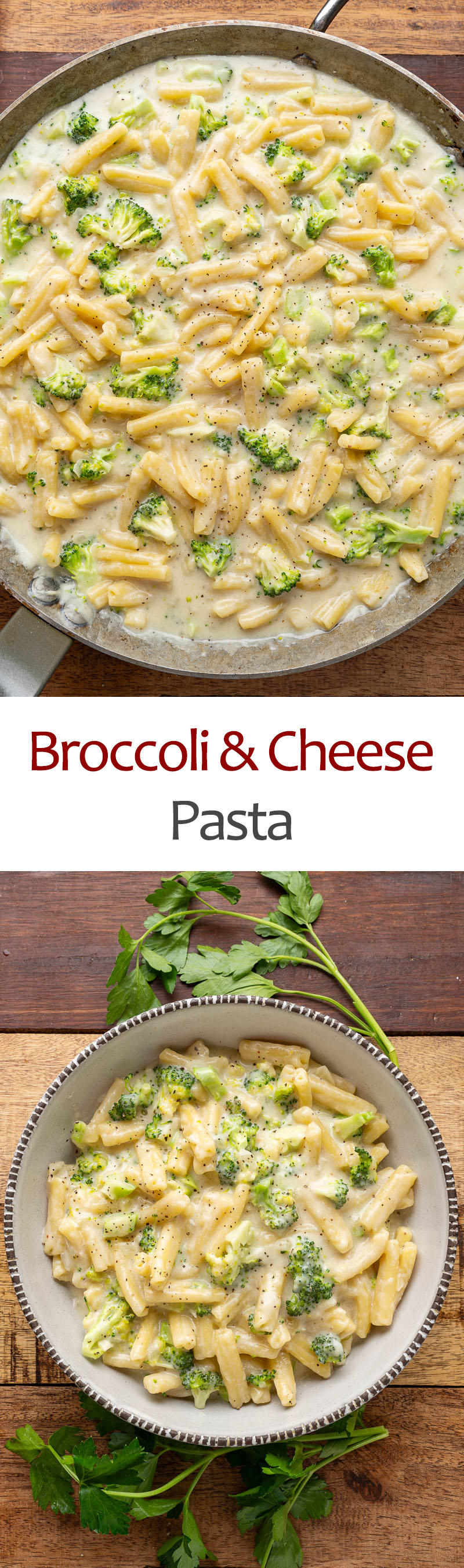 Broccoli and Cheese Pasta Broccoli and Cheese Pasta