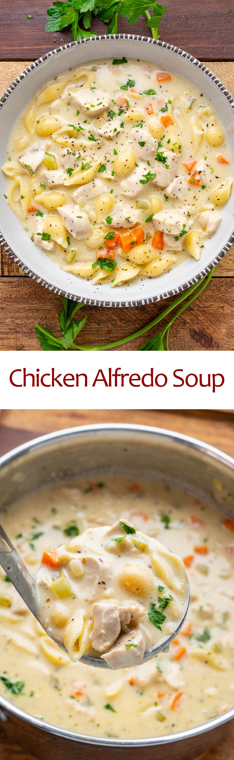 Chicken Alfredo Soup Chicken Alfredo Soup