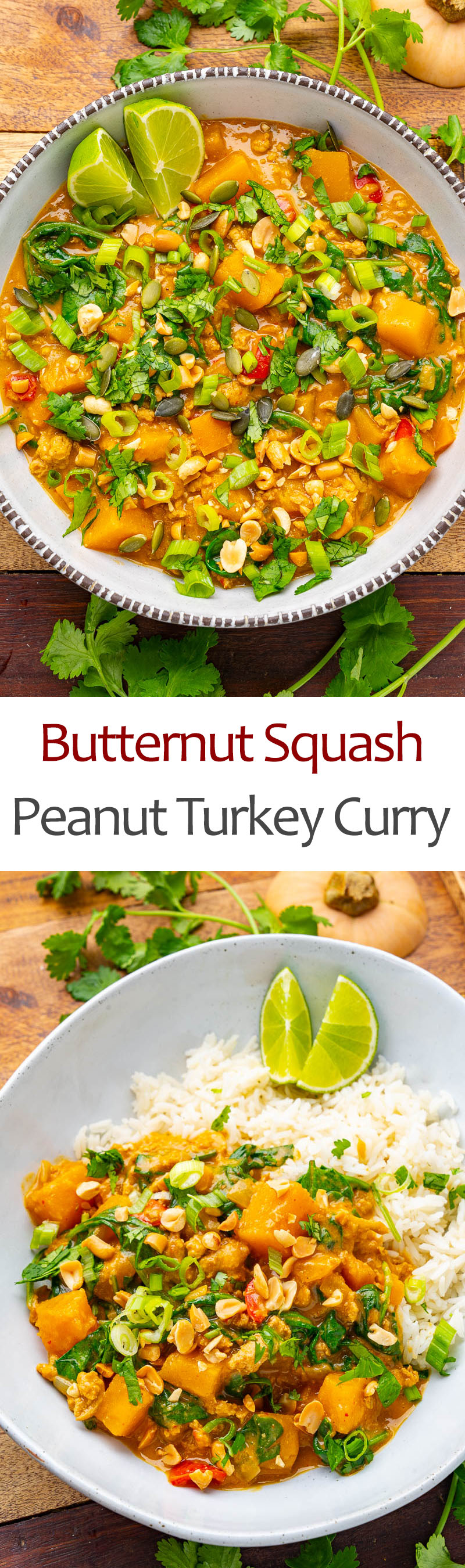 Butternut Squash Peanut Turkey Curry Butternut Squash Peanut Turkey Curry