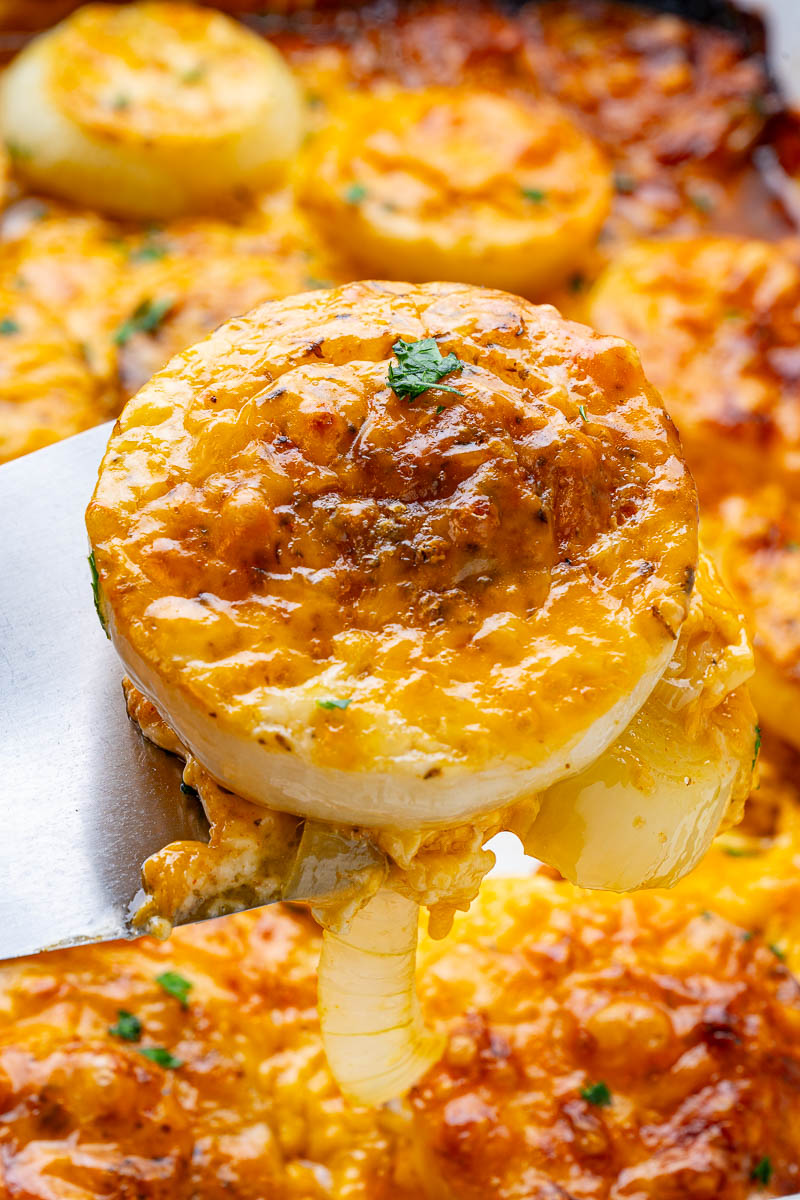 Tennessee Onions Tennessee Onions