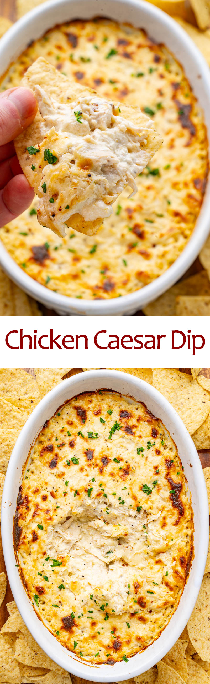 Chicken Caesar Dip Chicken Caesar Dip